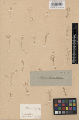 LE 00010107