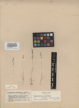 LE 00010108