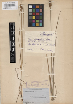 LE 00010161