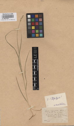 LE 00010166