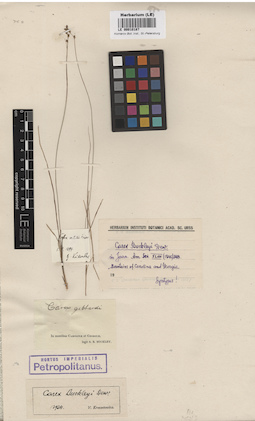 LE 00010187