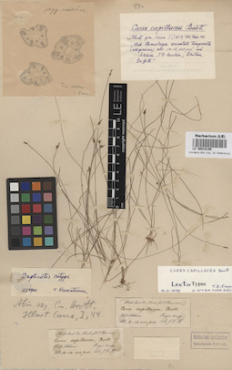 LE 00010190