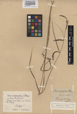 LE 00010204