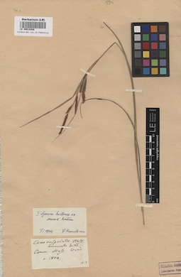 LE 00010208