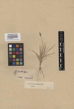 LE 00010222