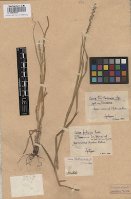 LE 00010238