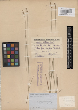 LE 00010250