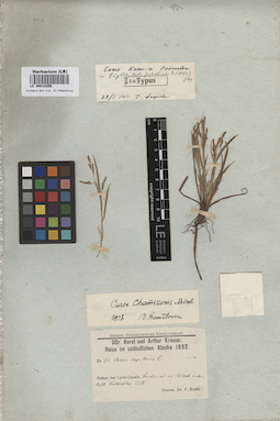 LE 00010256