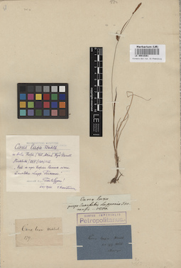 LE 00010261