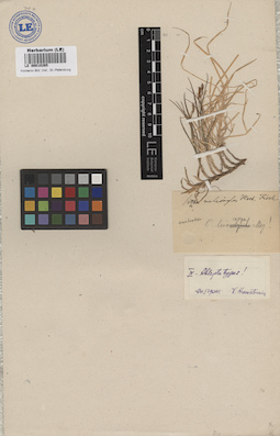 LE 00010265