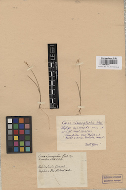 LE 00010271