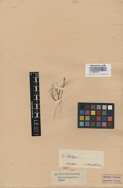 LE 00010272