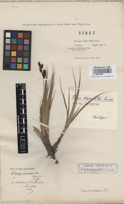 LE 00010287