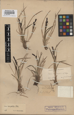 LE 00010292