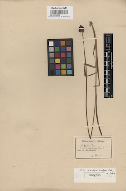 LE 00010351