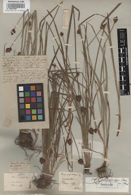 LE 00010352