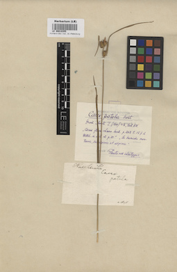 LE 00010355