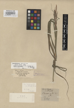 LE 00010363