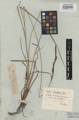 LE 00010406