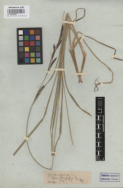 LE 00010407