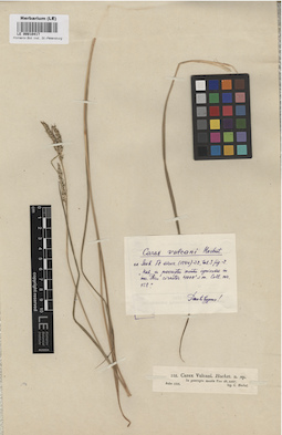 LE 00010417