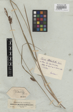 LE 00010426