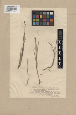 LE 00010431