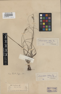 LE 00010434