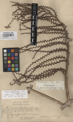 LE 00010471