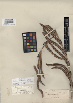 LE 00010472