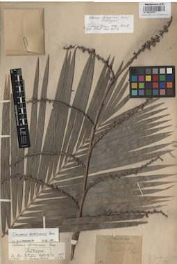 LE 00010475