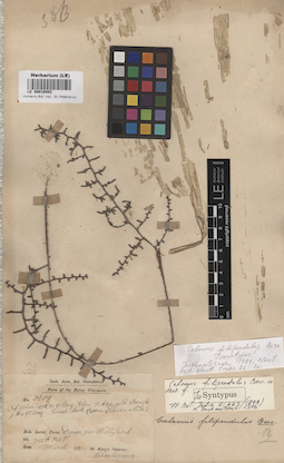 LE 00010492