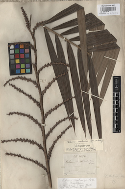 LE 00010530