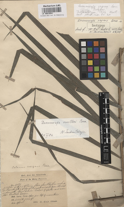 LE 00010541