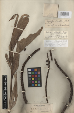 LE 00010548