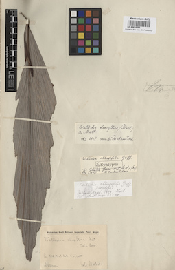 LE 00010550