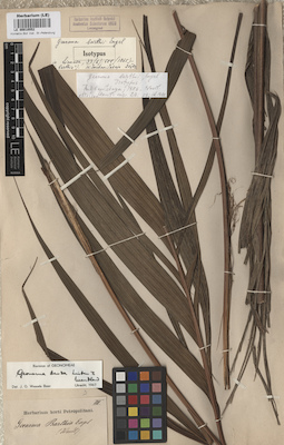 LE 00010552