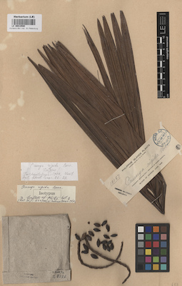 LE 00010580