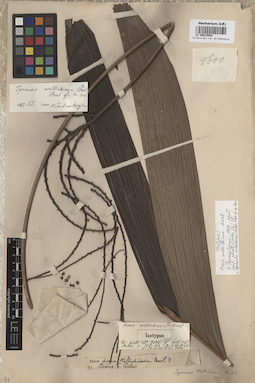 LE 00010582