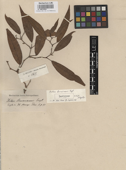 LE 00010584
