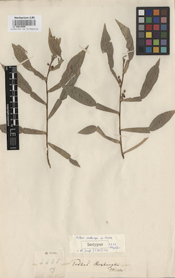 LE 00010595