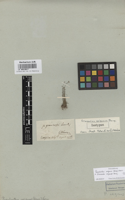 LE 00010617