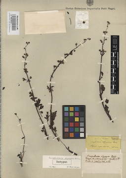 LE 00010618