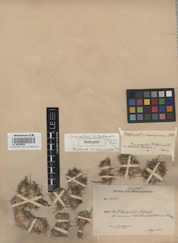 LE 00010624