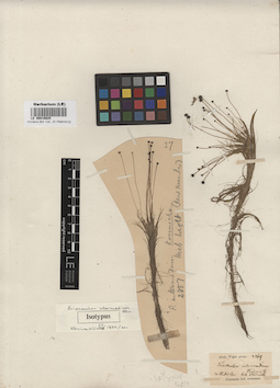 LE 00010625