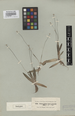 LE 00010626