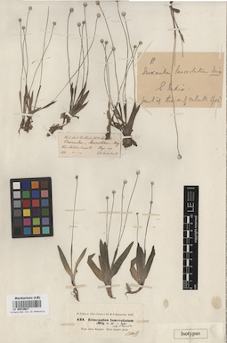 LE 00010627