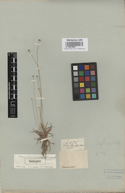 LE 00010628