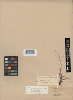 LE 00010629