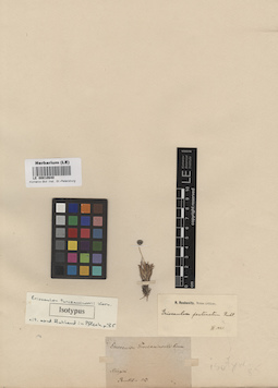 LE 00010640